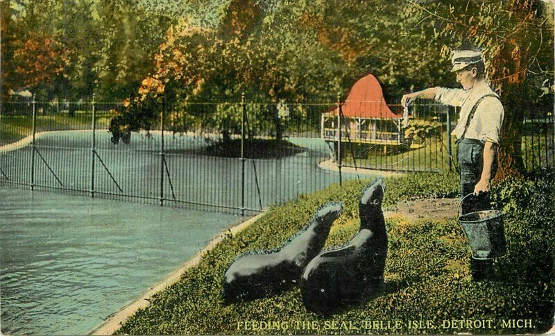 Belle Isle Feeding Seal Detroit Michigan 1914 Postcard Teich 20-10033