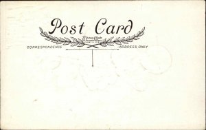 Gibson Easter Little Girl With Rabbit Vintage Postcard