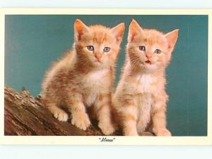 Postcard Pair of Kittens on Tree Branch # 1206A
