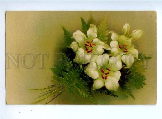 157642 Lilium Lily Bouquet KLEIN vintage color PC