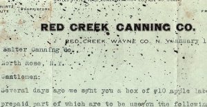 1919 RED CREEK CANNING CO WAYNE CO NEW YORK APPLES LABELS LETTER Z2277