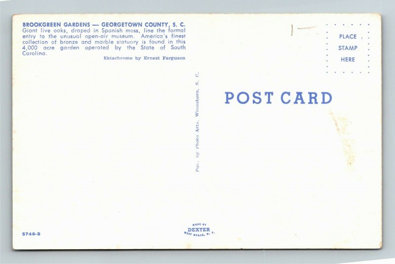 Brookgreen Gardens, Live Oaks, Georgetown County South Carolina Vintage Postcard