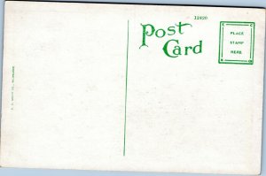 postcard Scene in an Orange Grove, Florida