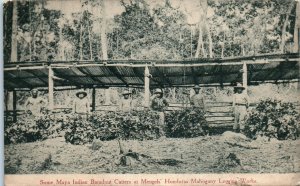 1910s Maya Indians Logging Honduras CC Mengel Lumber Louisville KY Adv Postcard