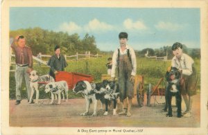 A Dog Cart Group in Rural Quebec, Canada White Border Postcard