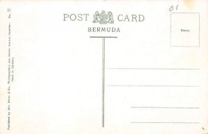 Lion Rock Bermuda Postcard