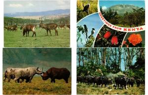 KENYA 96 AFRIQUE AFRICA Postcards CPM Mostly 1950-1990 (L3287)