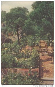 CHURUBUSCO, Mexico, 1940-1960's; A Monastery's Garden