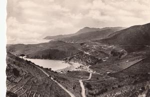 BF14169 banyuls sur mer p o le camping de peyrellite sa  france front/back image