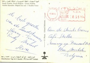 PC CPA SAUDI ARABIA, SOUTH REGION, GREEN ARABIA, Modern Postcard (b15902)