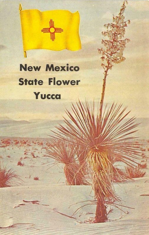 New Mexico State Flower Yucca State Flag Desert 1967 Chrome Vintage Postcard