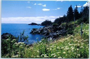 Postcard - Sunsweep Trail, Roosevelt Campobello International Park - Canada