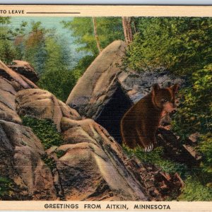 1934 Aitkin, Minn. MN Greetings From Cute Cub Can't Bear to Leave _ PC A243