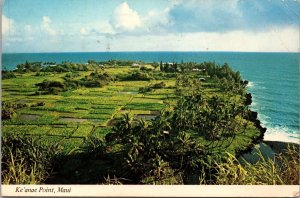 Ke'anae Point Maui HI Postcard PC64