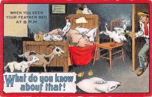 When You Seek Your Rest Farm Animals in Bed 1910c Humor postcard