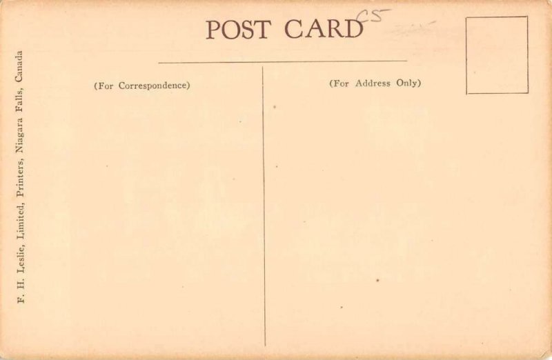 Niagara Falls Canada Old Burning Spring Vintage Postcard AA55606