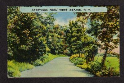 NY Greetings WEST COPAKE NEW YORK Postcard Linen PC