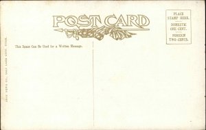 Native American Indian Standing Wolf Chief? Cheyenne Tribe Medal? Postcard