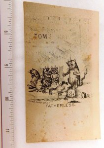 Engraved Fatherless Anthropomorphic Cat Family Dead Cat In Road Oddball Card F48