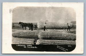 EXAGGERATED CORN LOADING ILLINOIS 1909 ANTIQUE REAL PHOTO POSTCARD RPPC