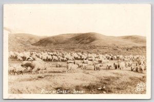 Flock Of Sheep In Idaho RPPC Ellis Photo 1946 To Meadville PA Postcard U25