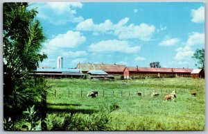 Vtg St Bernard Alabama AL Placid Oaks Farms Benedictine Monks Alley Postcard