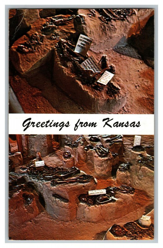 Greetings From Kansas Indian Burials Salina KS Vintage Standard View Postcard