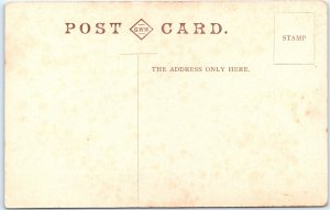 c1910s Isle Skye, Scotland Postcard Needle Rock Formation Sea Cliff Stack A369