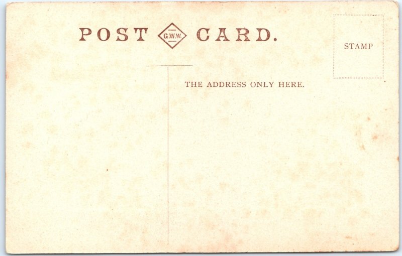 c1910s Isle Skye, Scotland Postcard Needle Rock Formation Sea Cliff Stack A369