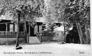 CA, California BROOKDALE HOTEL Santa Cruz County  c1910's Black & White Postcard