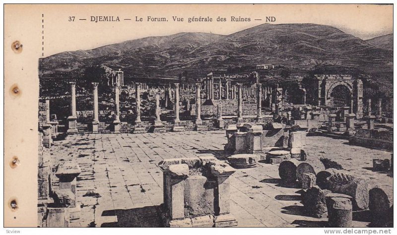 DJEMILA, Le Forum, Vue genereale des Ruines, Algeria, 10-20s