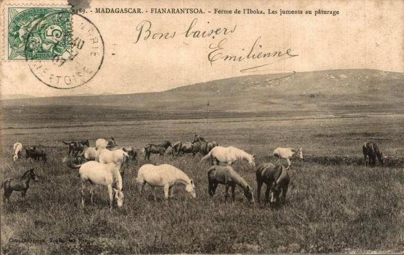 Madagascar Fianarantsoa Vintage Postcard 08.56