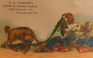 A.G Clemmer's Piano & Organ Rooms Adorable Puppies Tug-Of-War F25