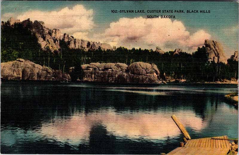 Postcard WATER SCENE Black Hills South Dakota SD AM2138