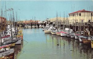 San Francisco California~Fisherman's Wharf~Small Fishing Boats Docked~1952nPc