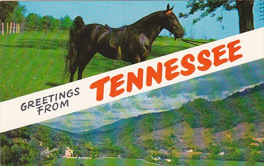 Greetings From Tennessee With Horse From Tanner's Stock Farm Near Franklin