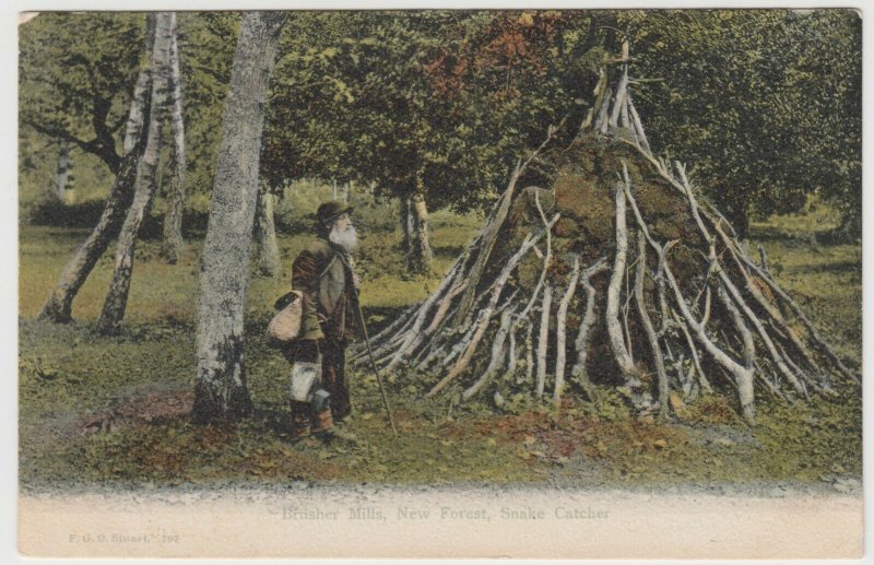 Hampshire; Brusher Mills, New Forest Snake Catcher PPC, Chavey Down PMK 1904  