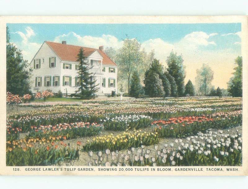 W-Border GEORGE LAWLER TULIP FLOWER GARDEN Tacoma Washington WA E9538