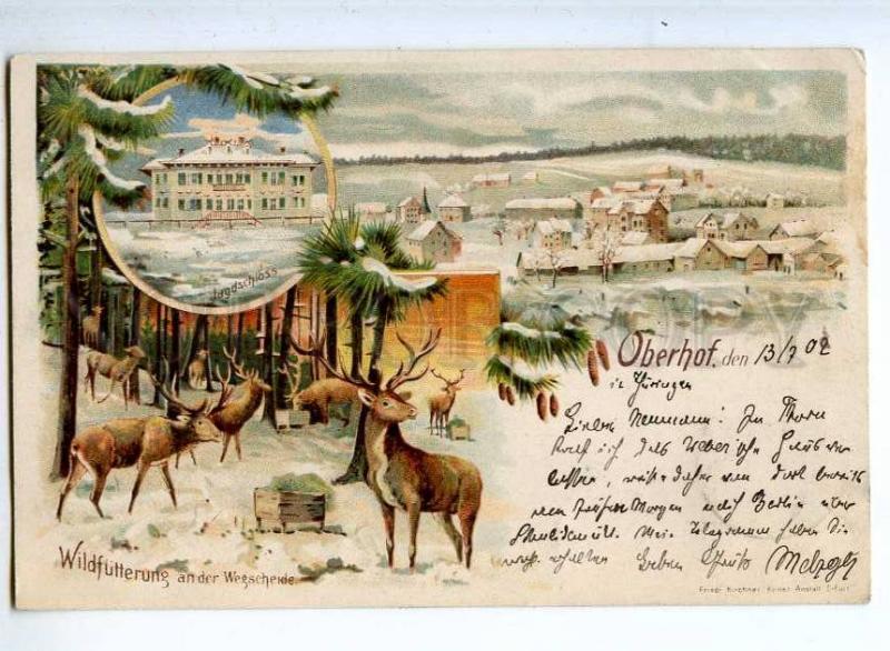 240534 HUNT Oberhof Jagdschloss DEER Vintage LITHO postcard