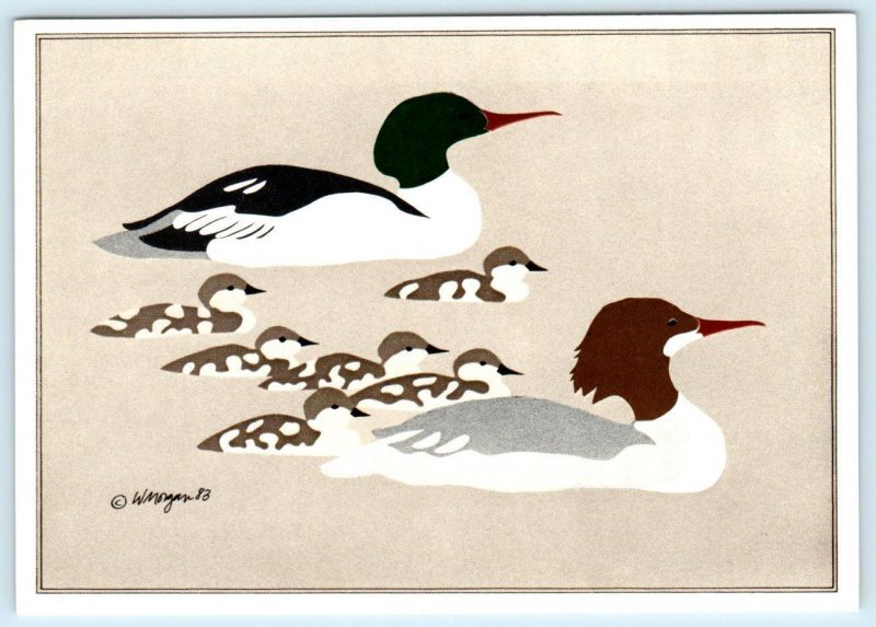 COMMON MERGANSERS Artist Signed WENDY MORGAN Ducks Ducklings 4½x6¼ Postcard