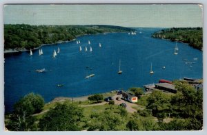 Sailboats, Northwest Arm, Halifax Harbour, Nova Scotia, Vintage 1952 Postcard