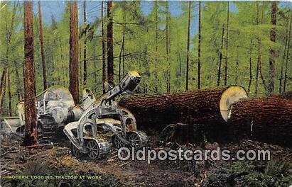 Modern Logging Cat Unused 