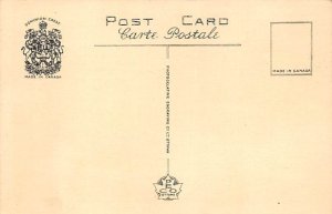 Samaan Tree Trinidad Postcard