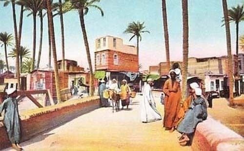 Bedrachein Egypt Egyptian Cairo Village View Postcard