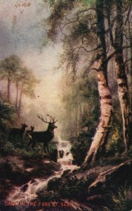 Vintage Postcard 1910's Dawn In The Forest Deer Wolves Animals Wild Scenic River