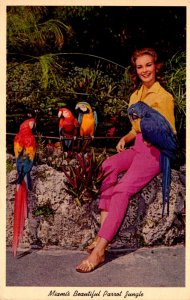 Florida Miami Parrot Jungle Beautiful Girl With Colorful Parrots