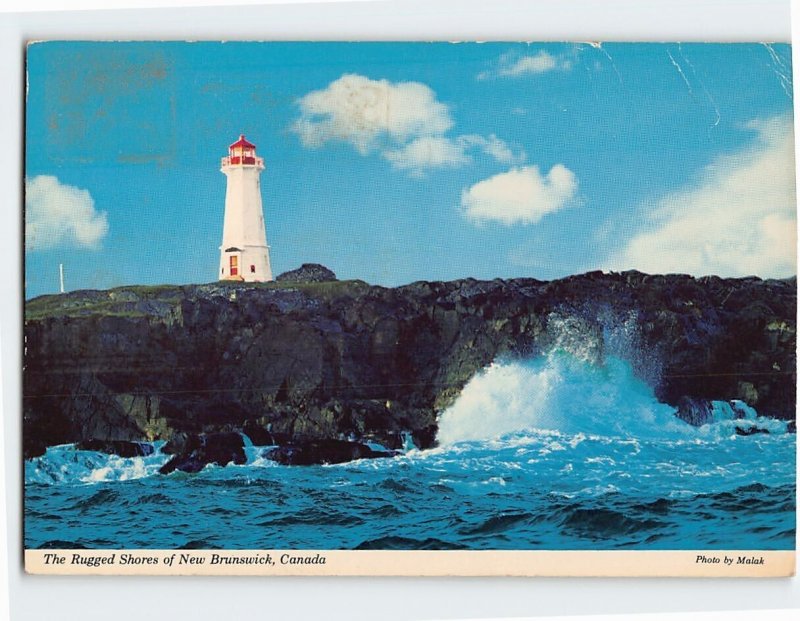 Postcard The Rugged Shores of New Brunswick, Canada