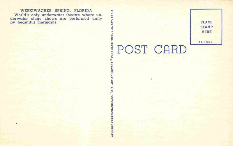 Feeding Ducks Underground Theater Weekiwachee Spring Florida 40s linen postcard