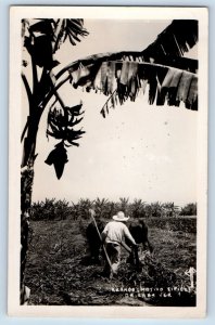 Orizaba Veracruz Mexico Postcard Arande (Motivo Tipico) c1940's RPPC Photo