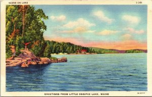 Greetings From Little Ossipee Lake Maine ME Lake Linen Postcard VTG UNP Vintage 